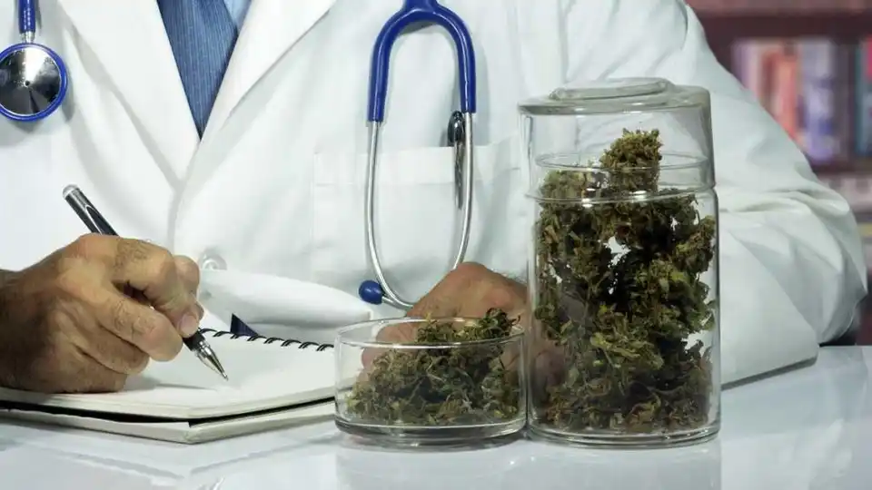 Medical Marijuana Doctors