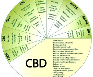 Medicinal Properties Of CBD