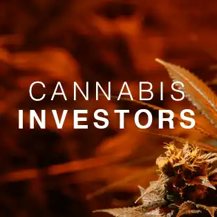 MMJ Investor