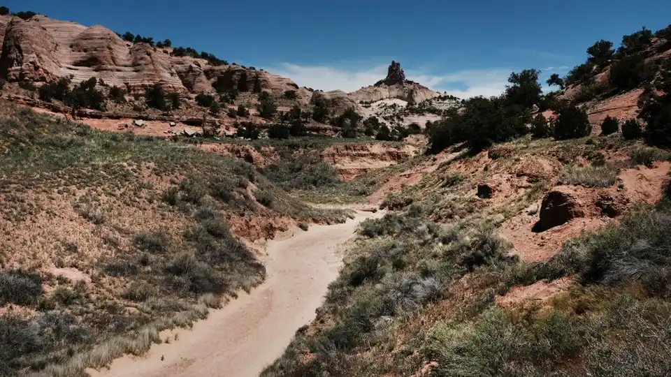 New Mexico
