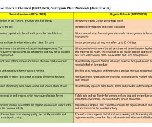 Organic vs Chemical Nutrients