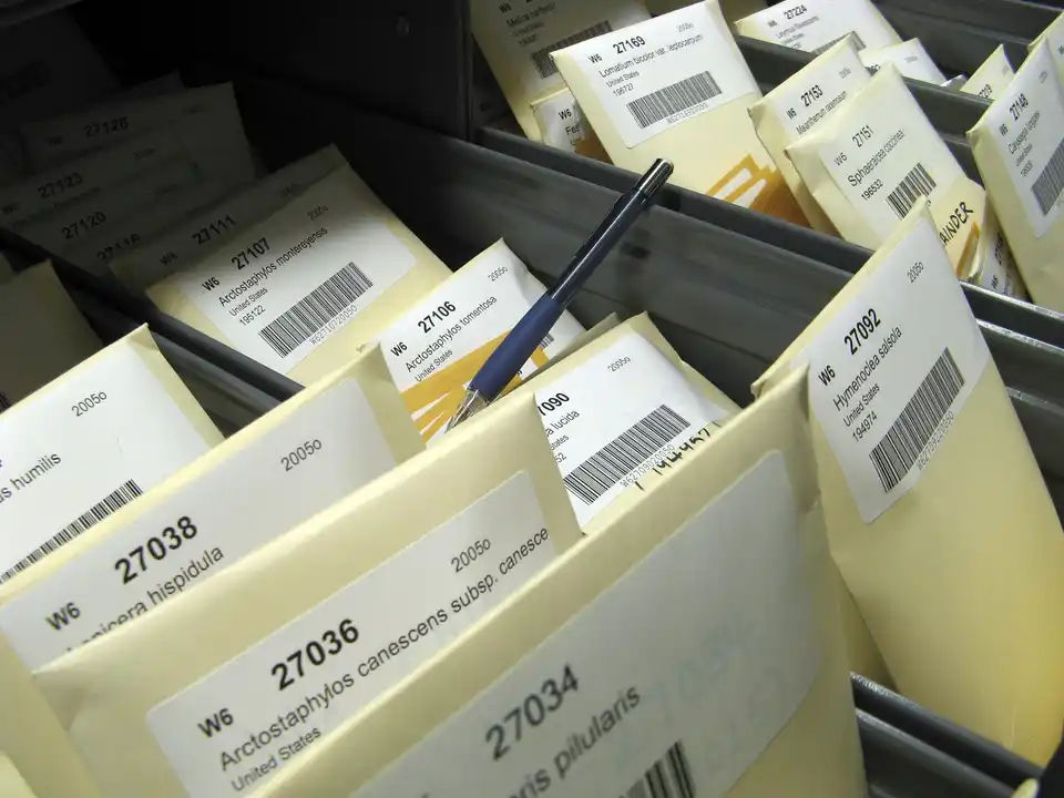 Seed Banks