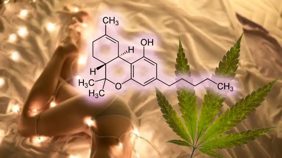 Making Cannabis Lube