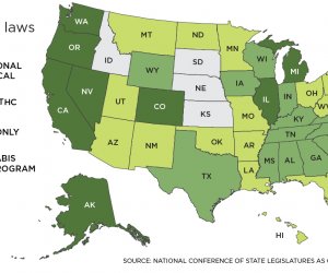 What Are the Benefits of a Medical Cannabis Card in Legal States?