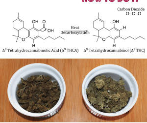 What is decarboxylation and why does cannabis need it?
