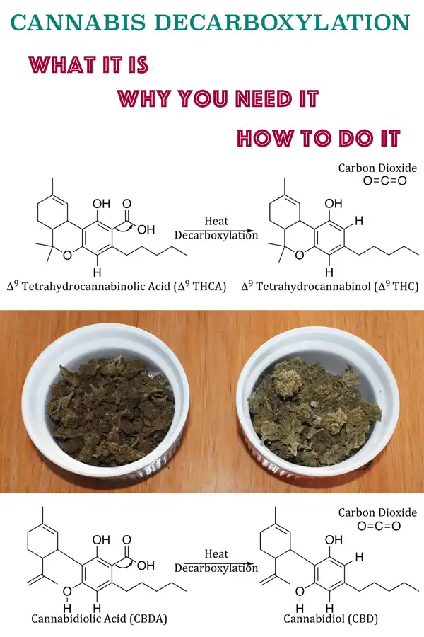 Best What is decarboxylation and why does cannabis need it? Recipe | Ultimate Cannabis Edible Guide cannabis recipe